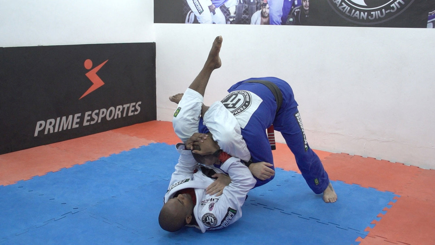 Favela Jiu Jitsu Vol 4-6 Submissions by Fernando Terere 3 DVD Box Set - Budovideos Inc