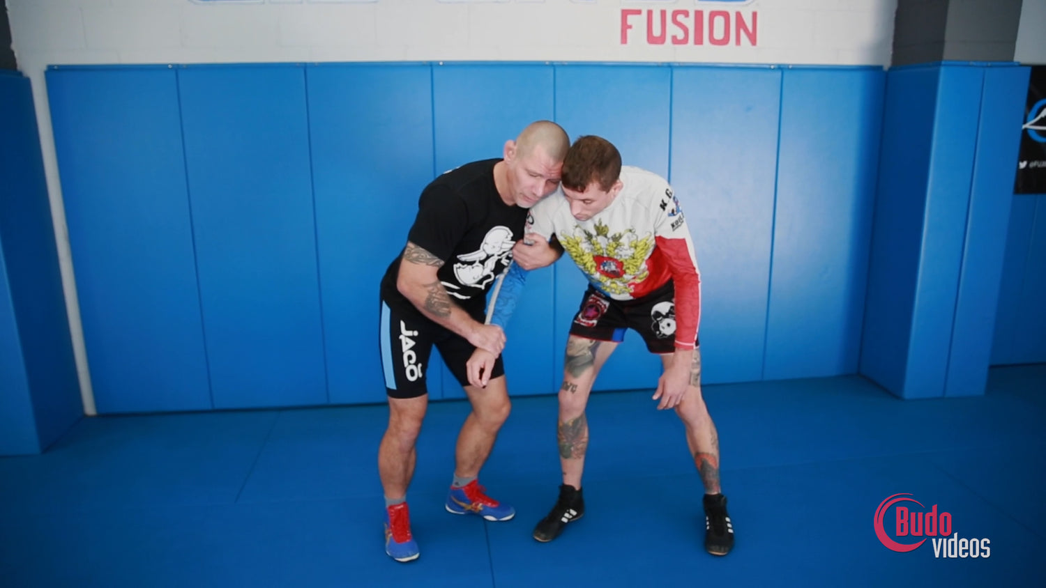 2 on 1 DVD by Vladislav Koulikov - Budovideos