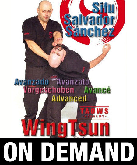 Wing Tsun Advanced TAOWS Academy by Salvador Sanchez (On Demand) - Budovideos Inc