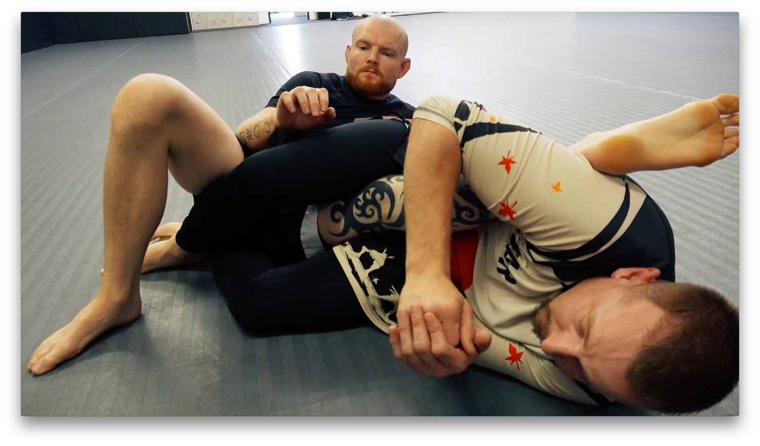 The 411 Leglock Instructional with Alan Shade (On Demand) - Budovideos Inc
