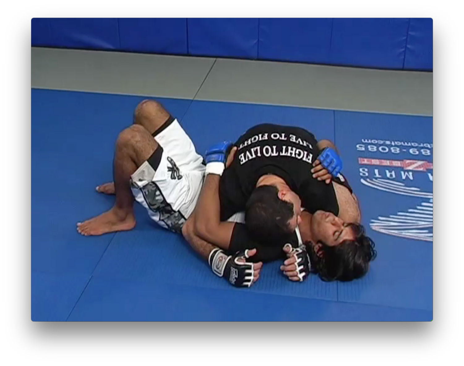 Mixed Martial Arts by Marcus Vinicius Di Lucia (On Demand) - Budovideos Inc