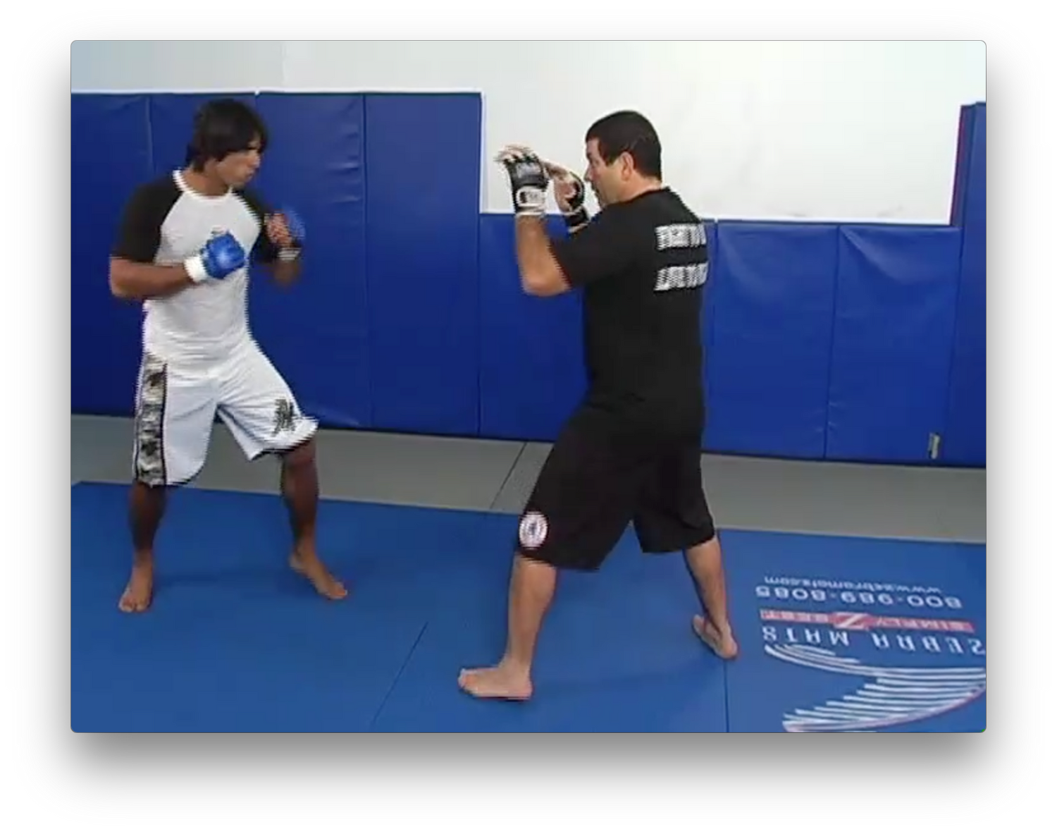 Mixed Martial Arts DVD by Marcus Vinicius Di Lucia - Budovideos Inc