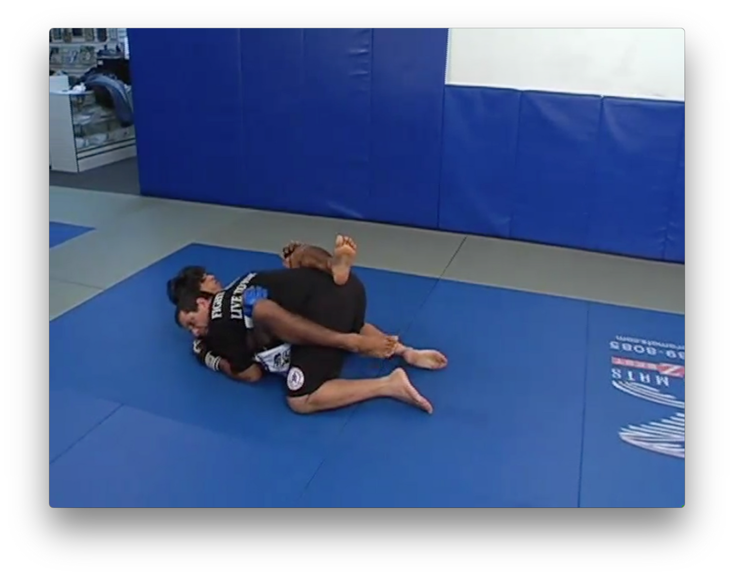 Mixed Martial Arts by Marcus Vinicius Di Lucia (On Demand) - Budovideos Inc
