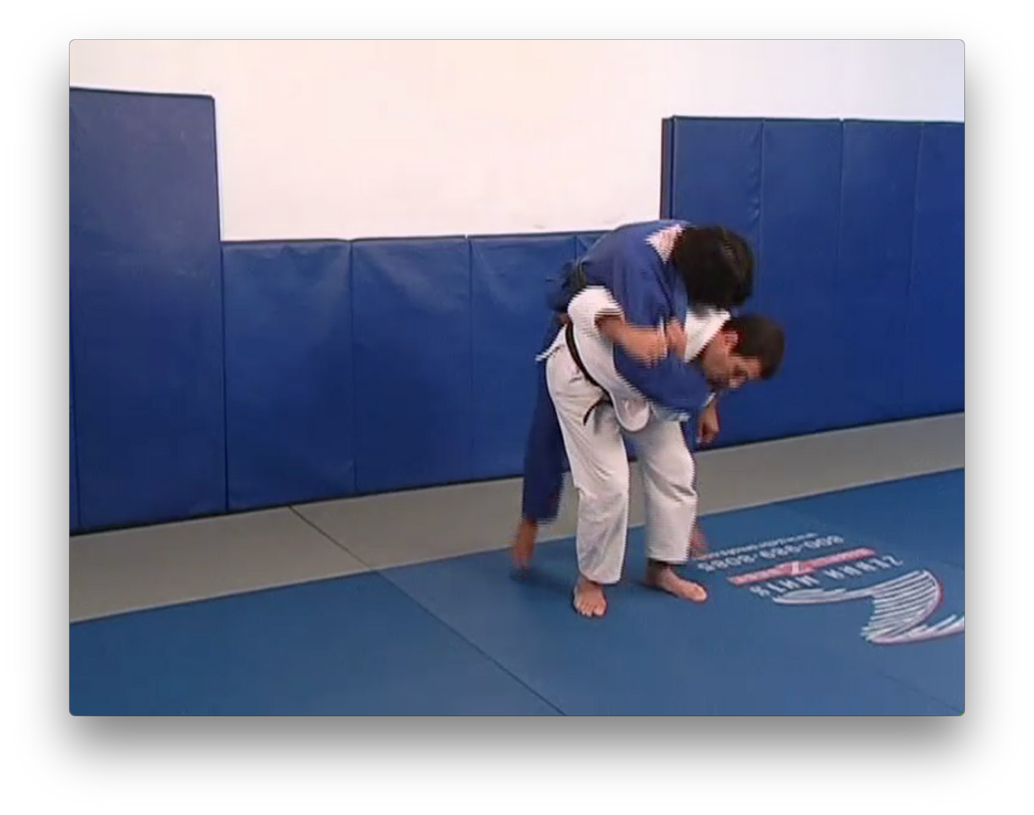 Throws and Takedowns by Marcus Vinicius Di Lucia (On Demand) - Budovideos Inc