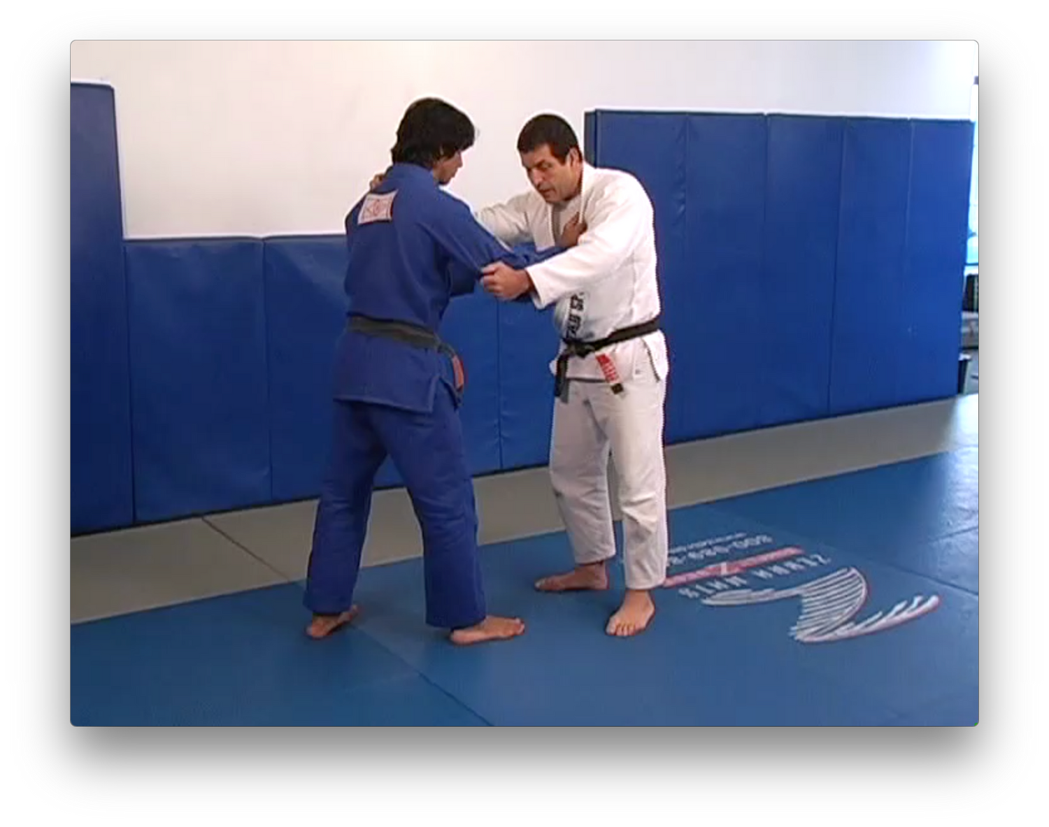 Throws and Takedowns by Marcus Vinicius Di Lucia (On Demand) - Budovideos Inc