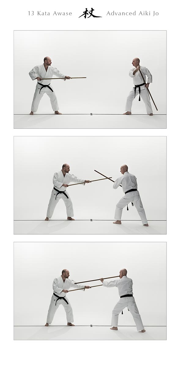 Bukiwaza Basic & Advanced Aiki Ken & Aiki Jo Special Edition Book by Ethan Weisgard - Budovideos