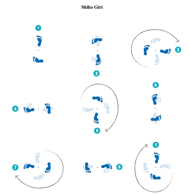 Bukiwaza Basic & Advanced Aiki Ken & Aiki Jo Special Edition Book by Ethan Weisgard - Budovideos