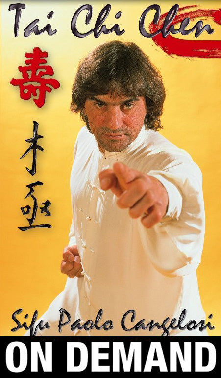 Tai Chi Chen Xia Jia Pao Chuie Form with Paulo Cangelosi (On Demand) - Budovideos