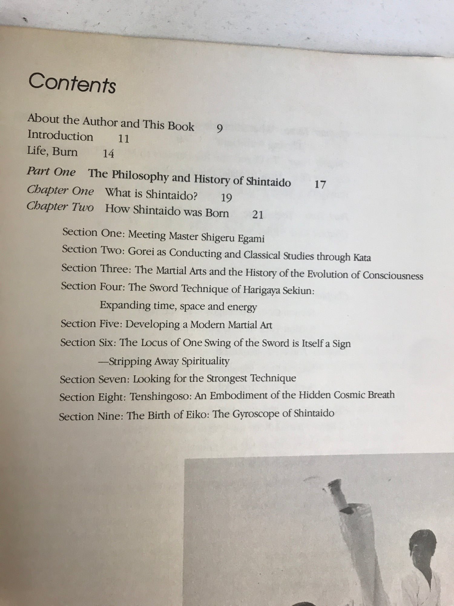 Shintaido: A New Art of Movement & Life Expression Book by Hiroyuki Aoki (Preowned) - Budovideos