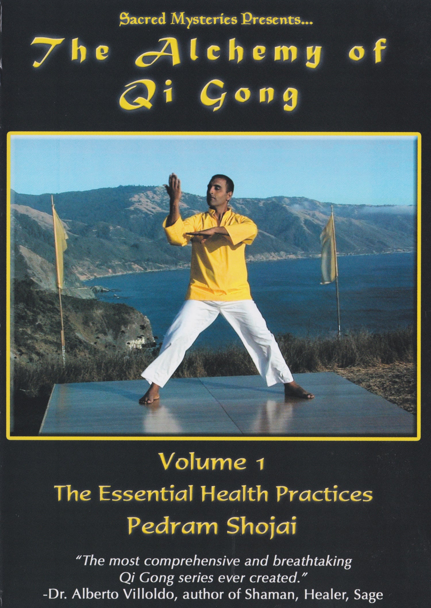 The Alchemy Of Qigong With Pedram Shojai DVD 1 Essential Health Practice (Preowned)