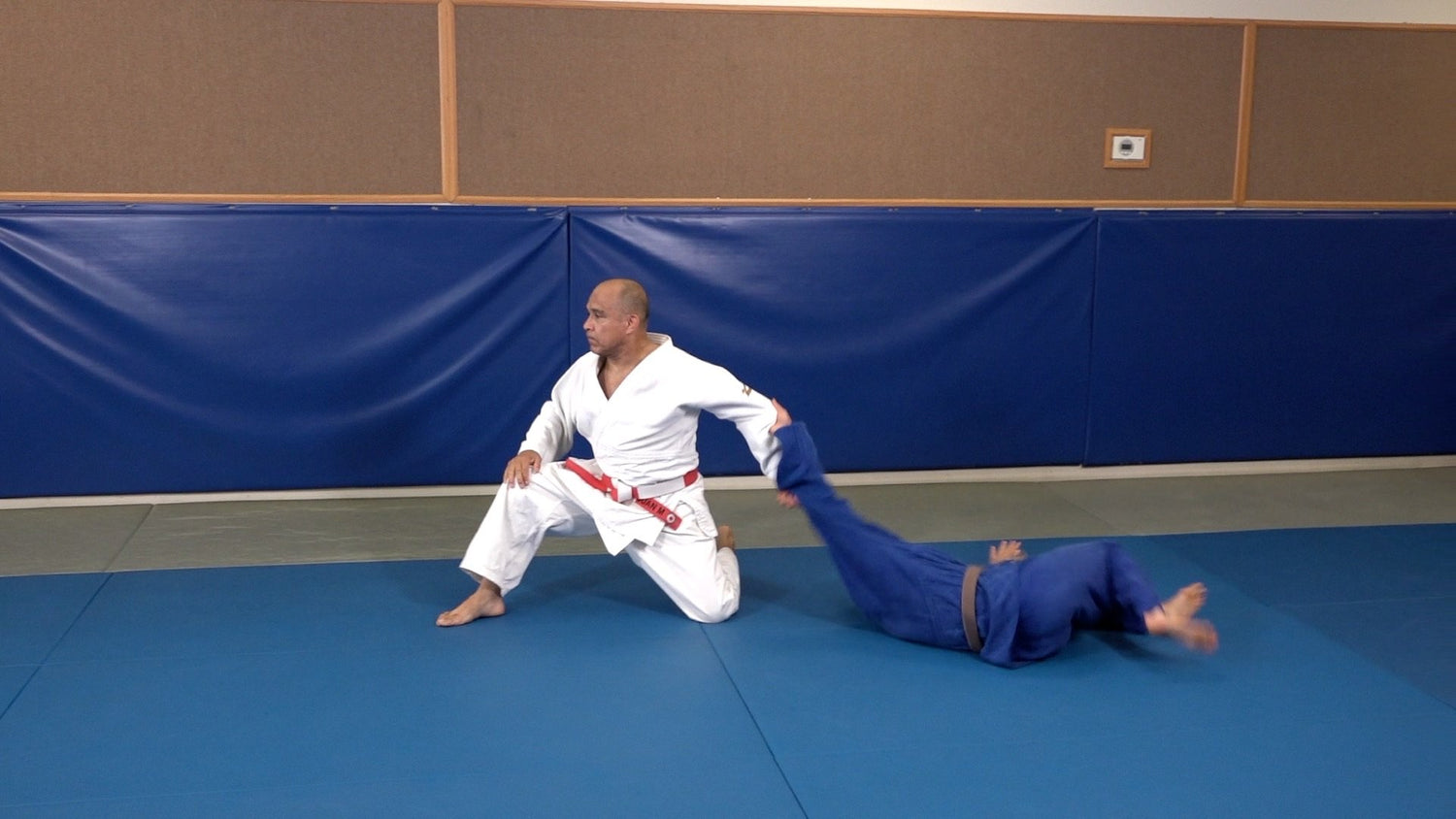 67 Throws of Kodokan Judo DVD or Blu-ray by Juan Montenegro - Budovideos Inc