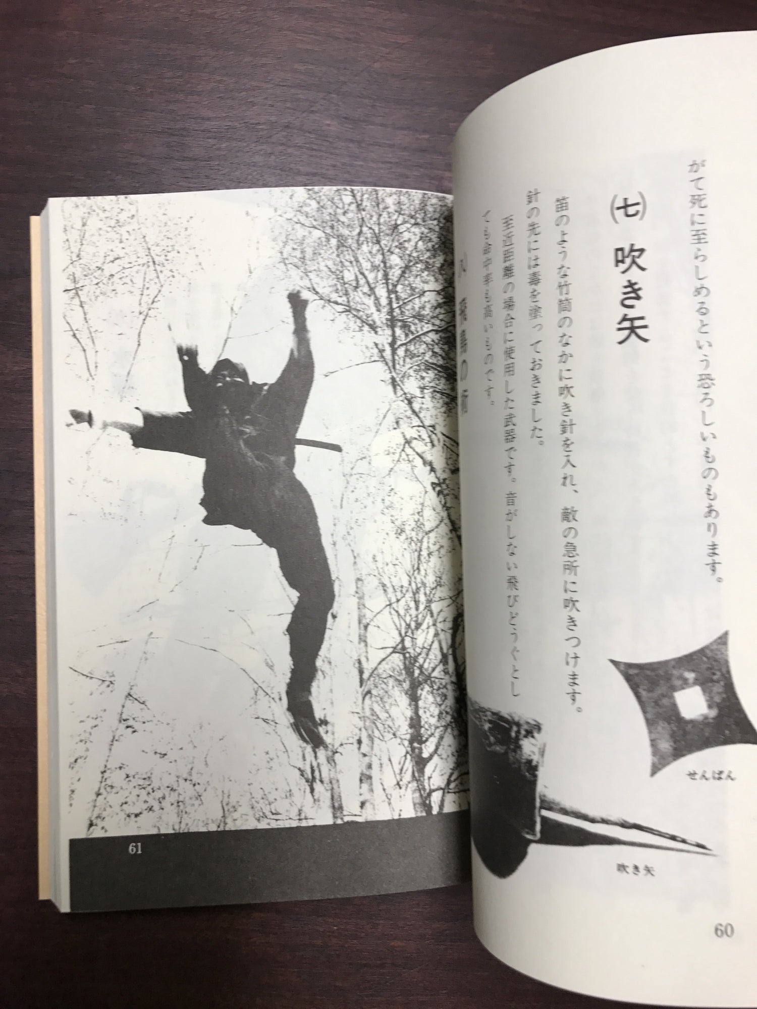 Togakure no Ninja Book by Torazo Shimizu (Preowned) - Budovideos Inc