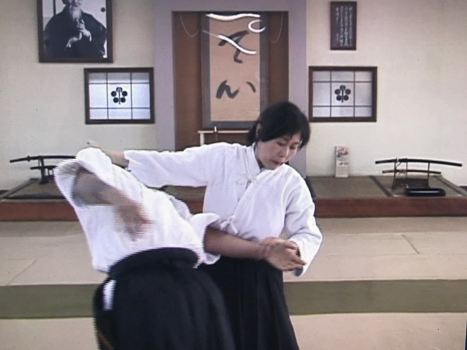 Elegant & Powerful Aikido by Miyako Fujitani - Budovideos Inc