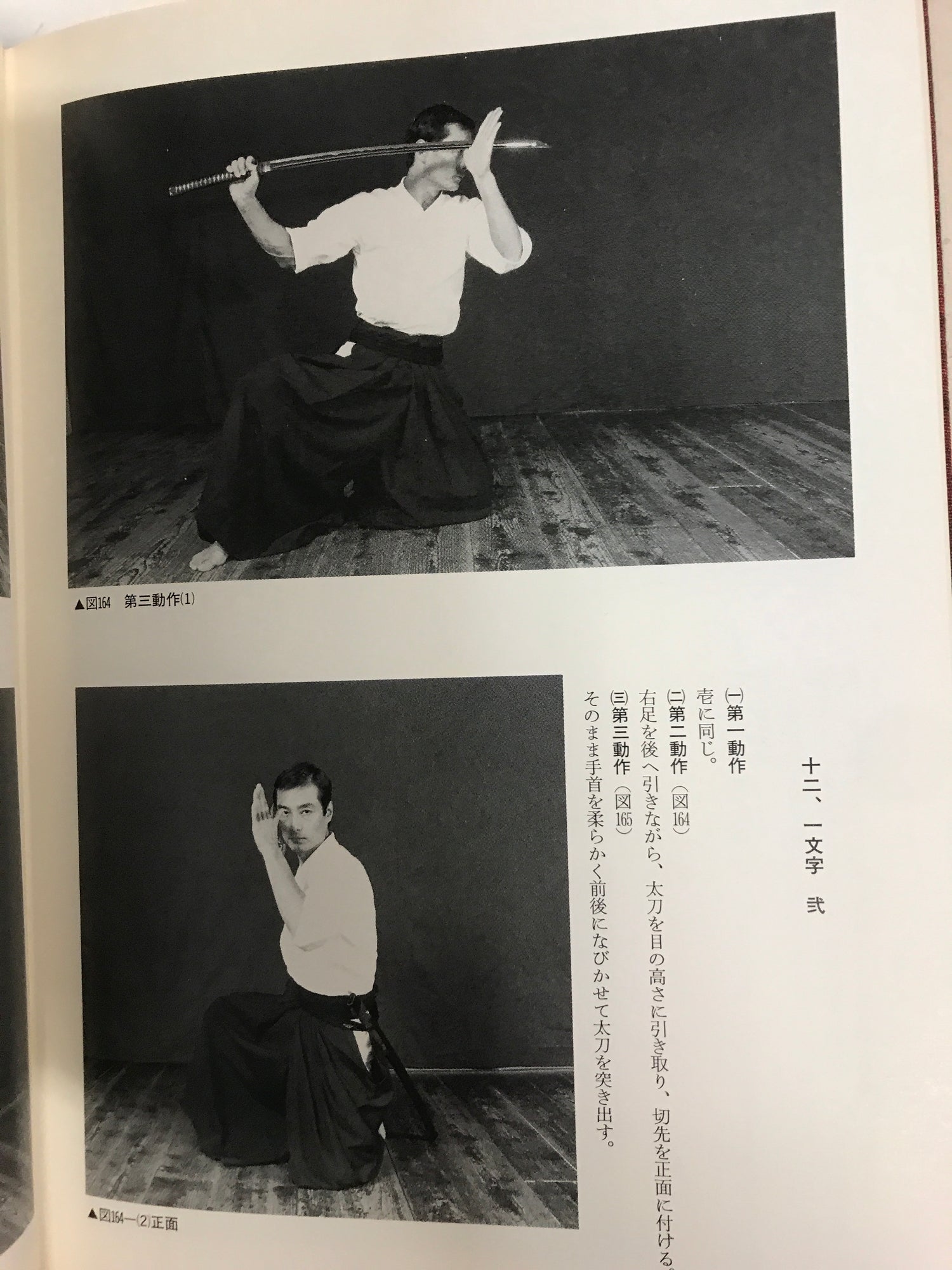 Iaijutsu Spirit Book by Tetsuzan Kuroda (Preowned) - Budovideos