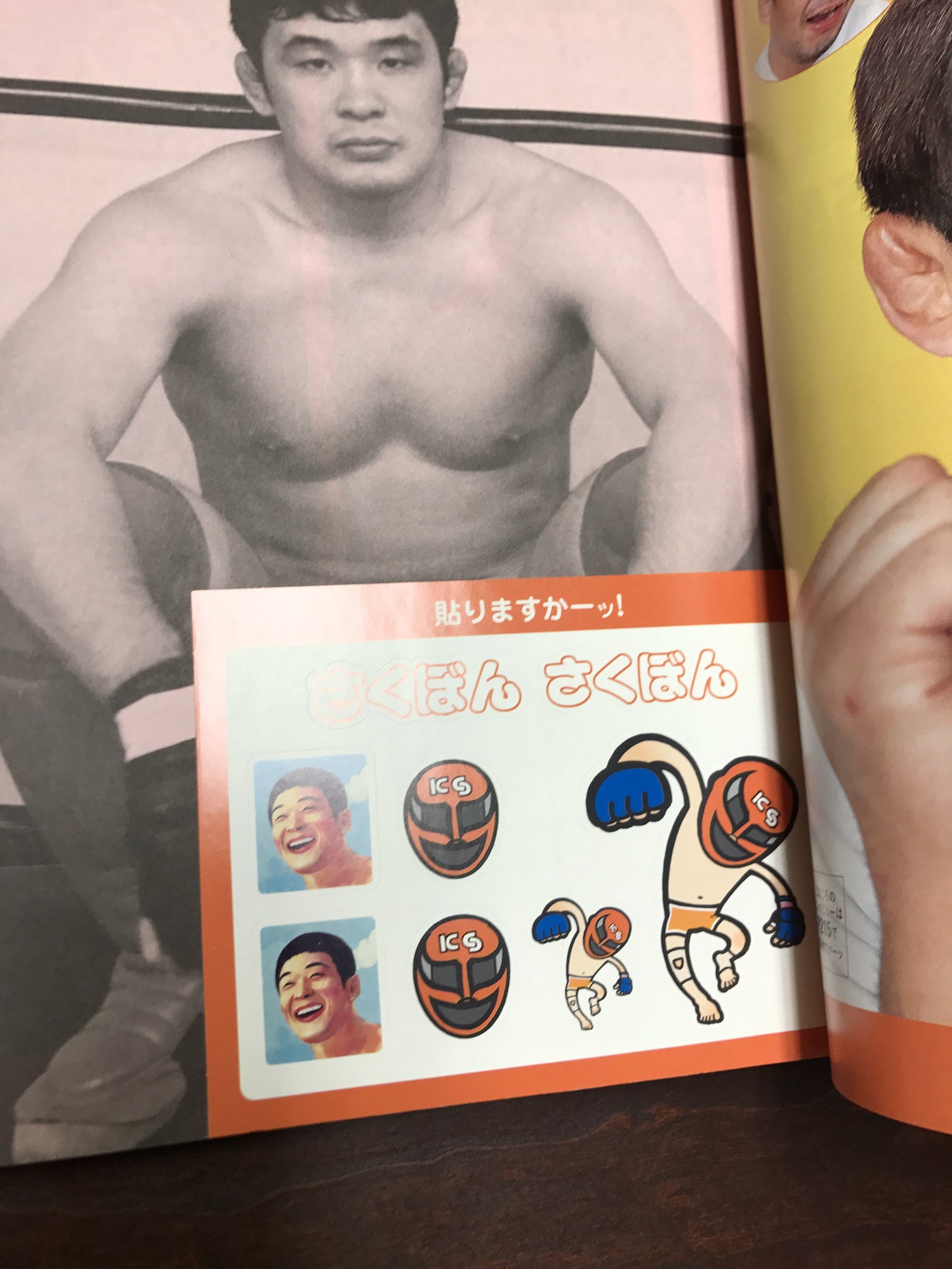 Sakubon Book by Kazushi Sakuraba (Preowned) - Budovideos Inc