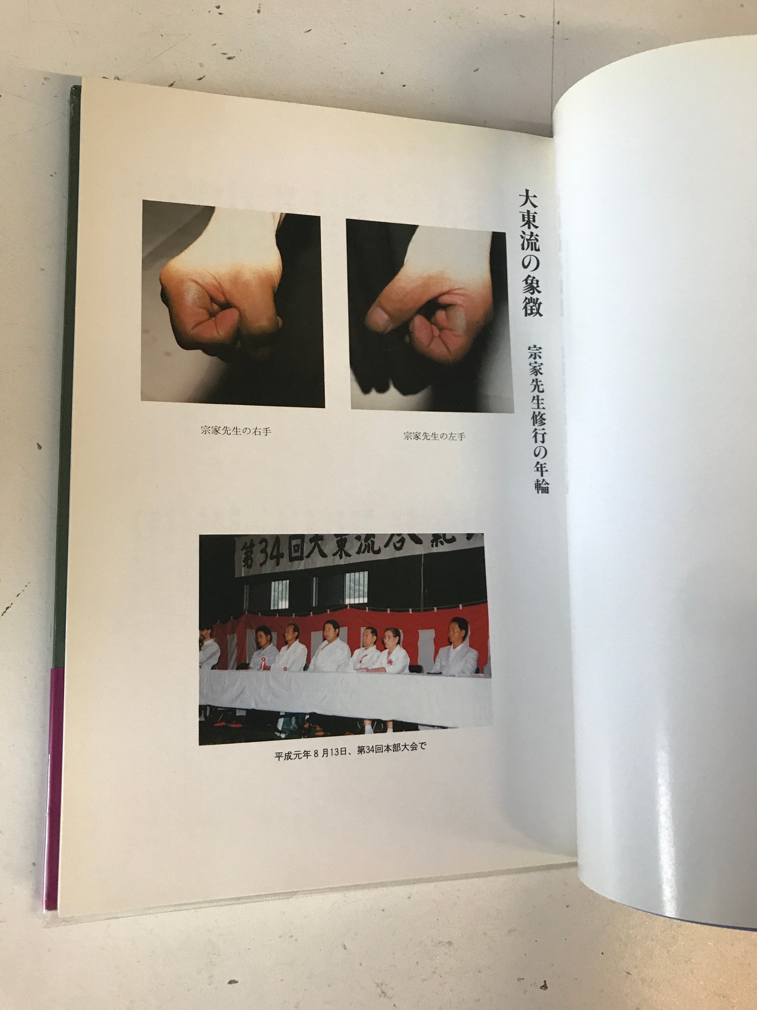 Daito Ryu Aikijujutsu Tokyo Branch 20th Anniversary Book (Preowned) - Budovideos Inc