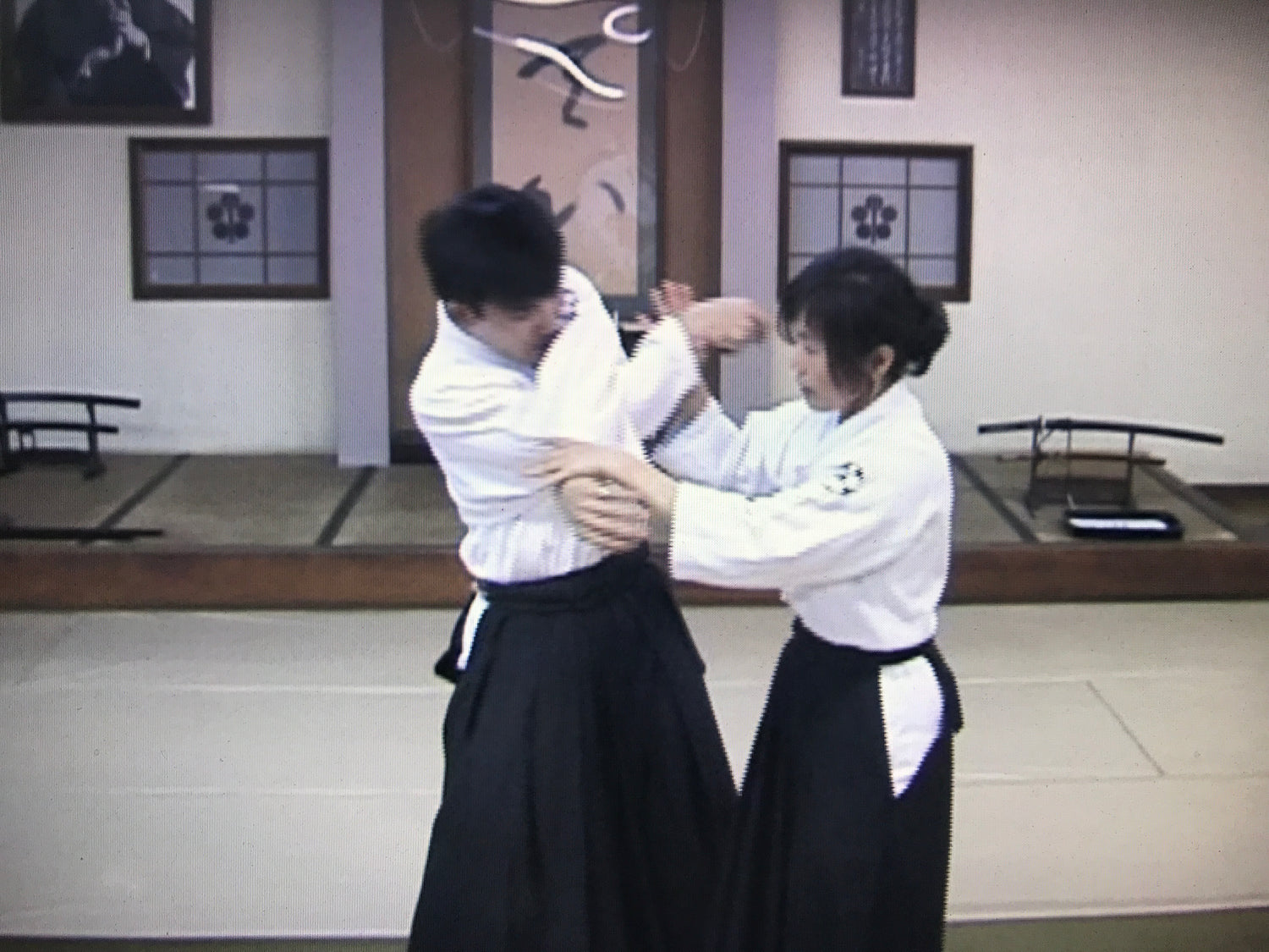 Elegant & Powerful Aikido by Miyako Fujitani - Budovideos Inc