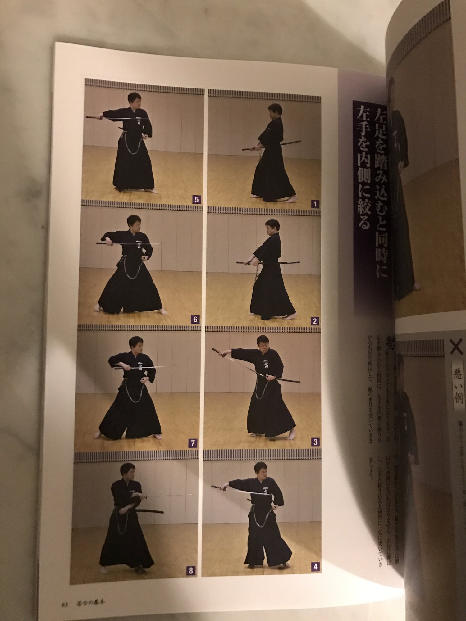 Iaido no Kihon Book 2 with DVD - Budovideos Inc