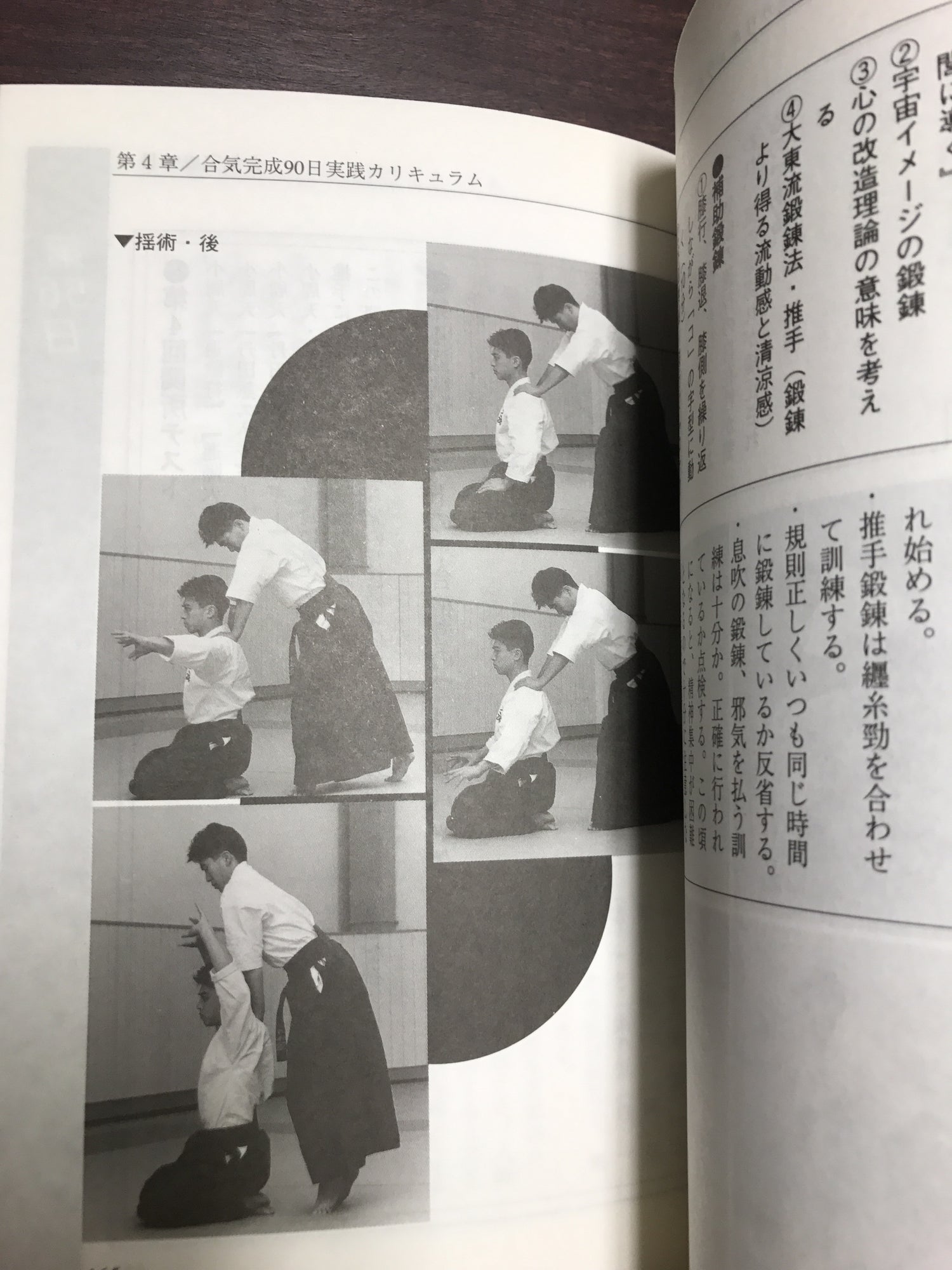 Aiki in 90 Days Book by Kazuoki Sogawa (Preowned) - Budovideos Inc