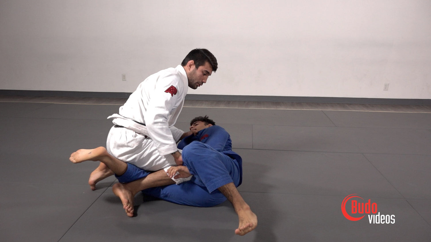 El Arte Suave: Modern Jiu-Jitsu DVD by Francisco Sinistro Iturralde - Budovideos Inc