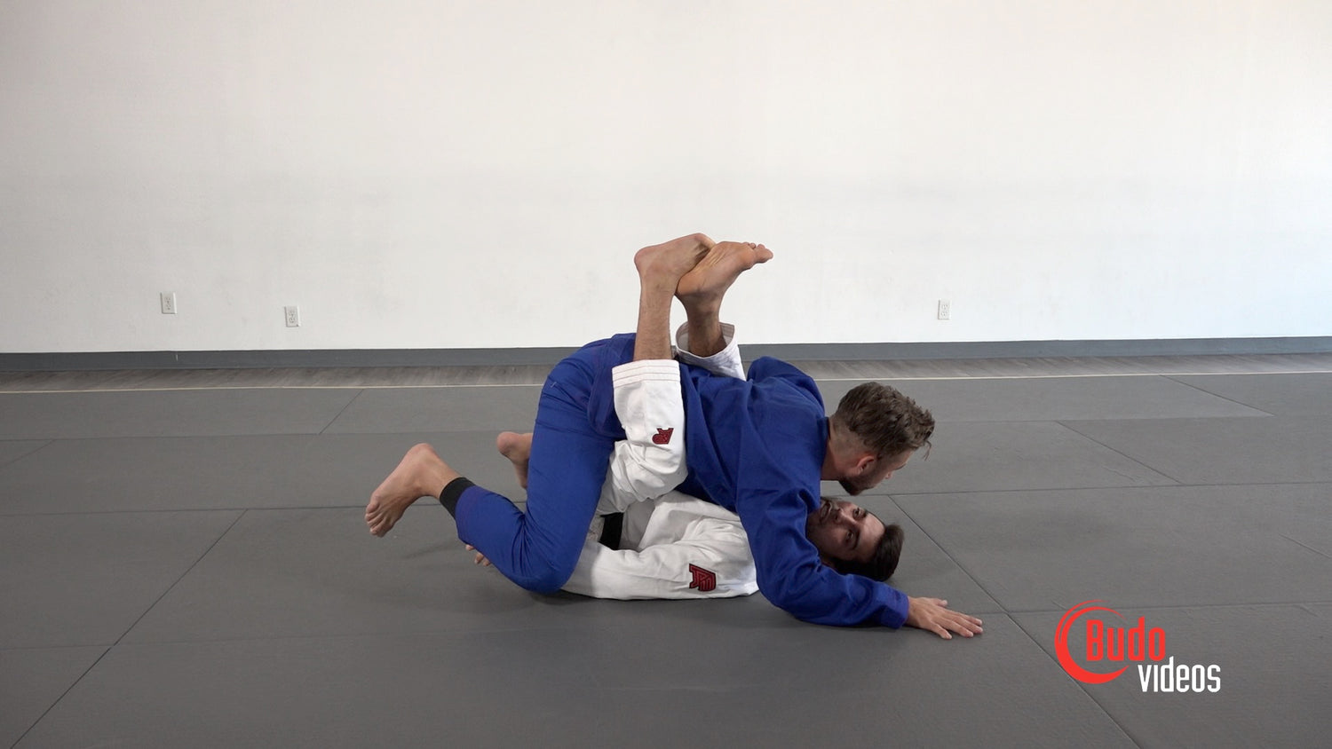 El Arte Suave: Basic Jiu-Jitsu DVD or Blu-ray by Francisco Sinistro Iturralde - Budovideos Inc