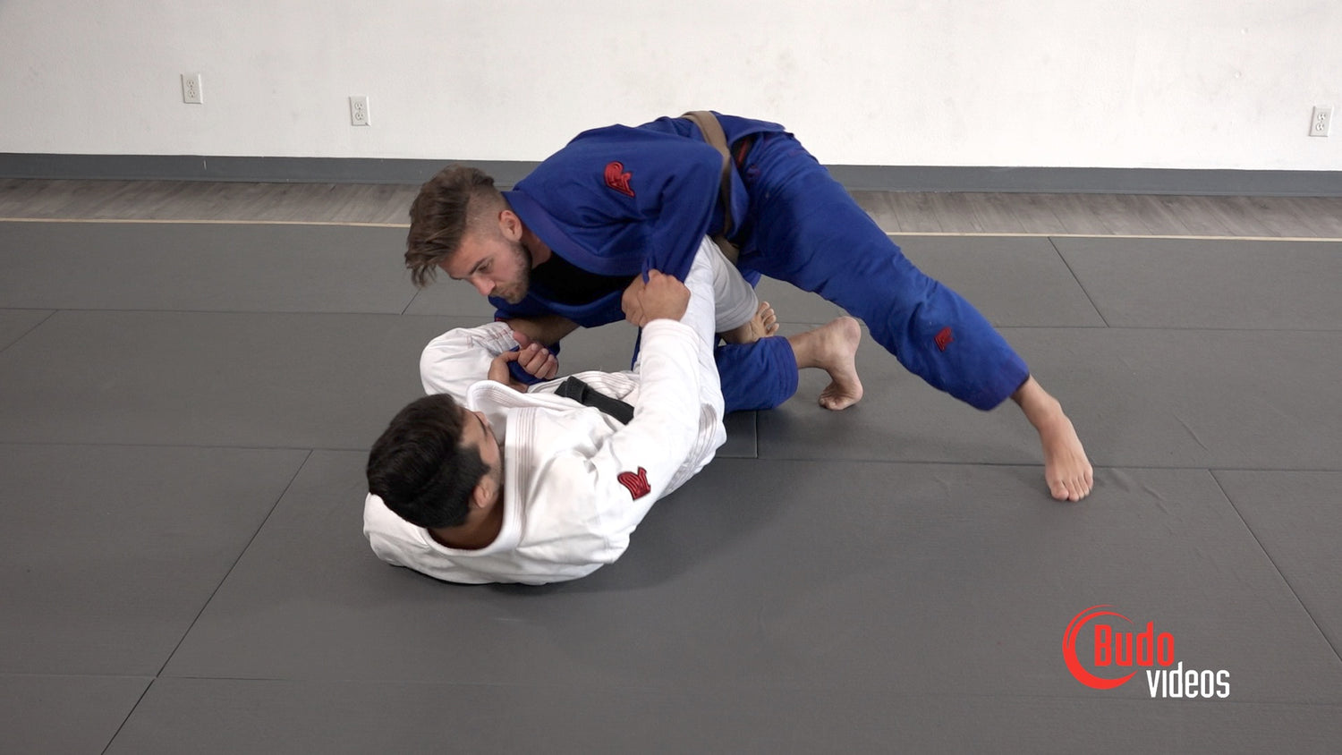 El Arte Suave: Basic Jiu-Jitsu DVD or Blu-ray by Francisco Sinistro Iturralde - Budovideos Inc