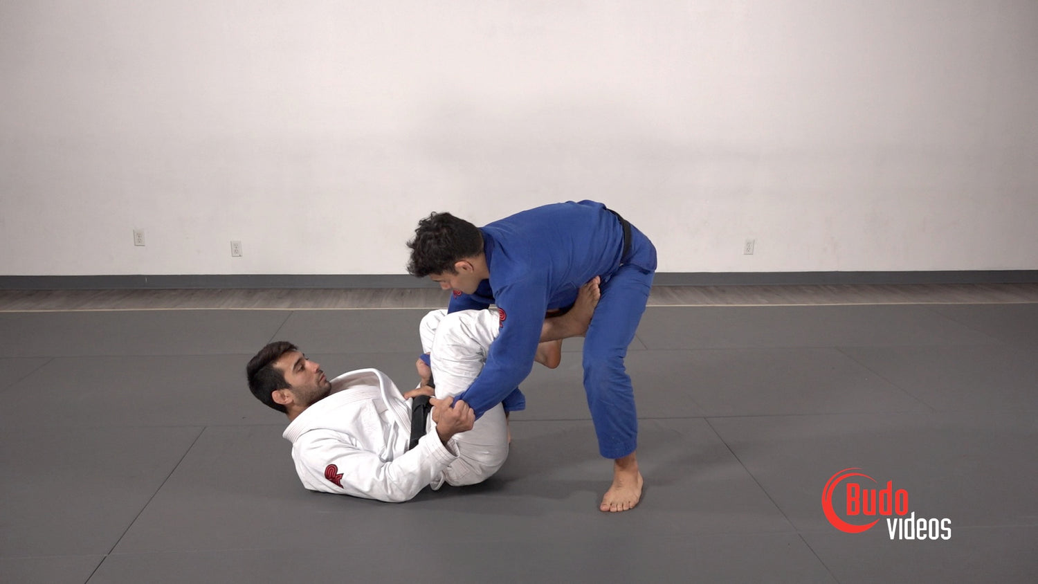 El Arte Suave: Modern Jiu-Jitsu DVD by Francisco Sinistro Iturralde - Budovideos Inc