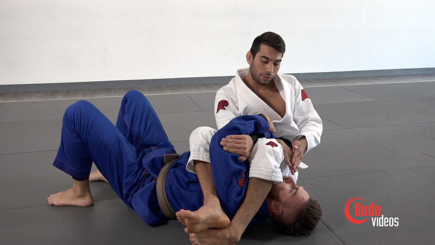 El Arte Suave: Basic Jiu-Jitsu DVD or Blu-ray by Francisco Sinistro Iturralde - Budovideos Inc