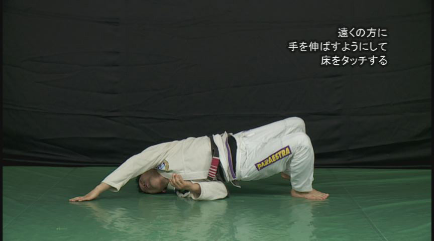 Self Training in Grappling Vol 1 DVD with Yuki Nakai - Budovideos Inc