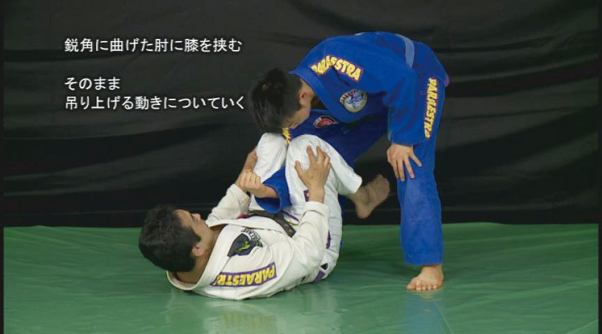 Self Training in Grappling Vol 2 DVD with Yuki Nakai - Budovideos Inc