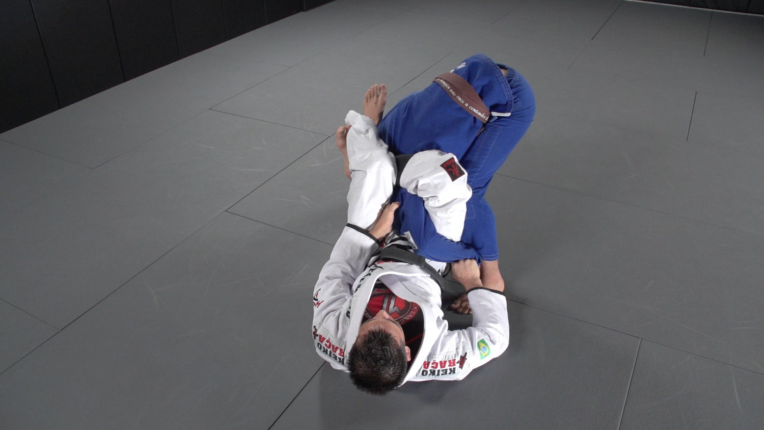 Dynamic De La Riva Guard DVD with Michael Langhi - Budovideos Inc