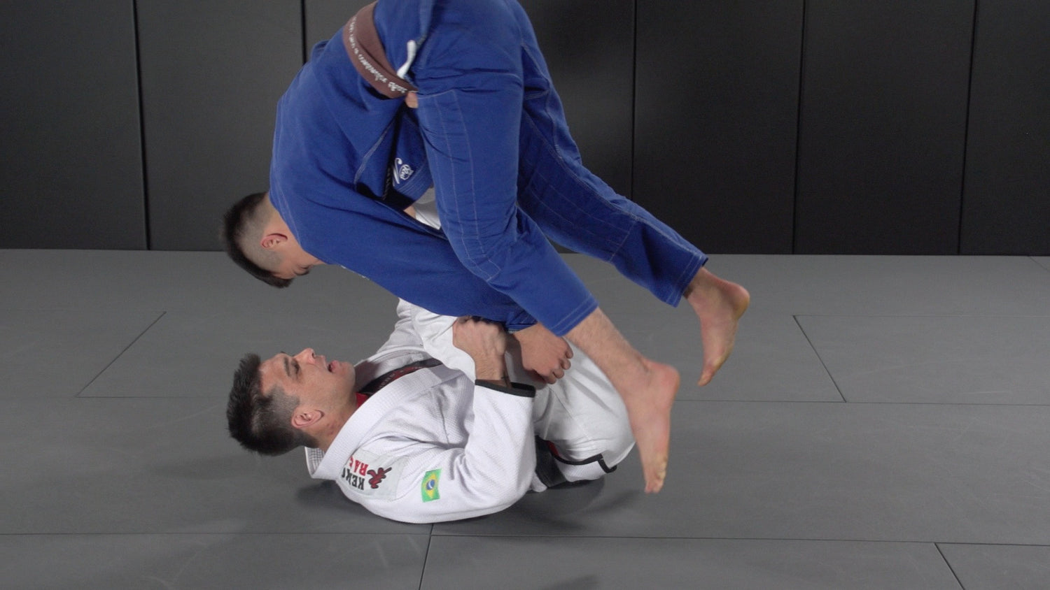 Dynamic Spider Guard DVD with Michael Langhi - Budovideos Inc