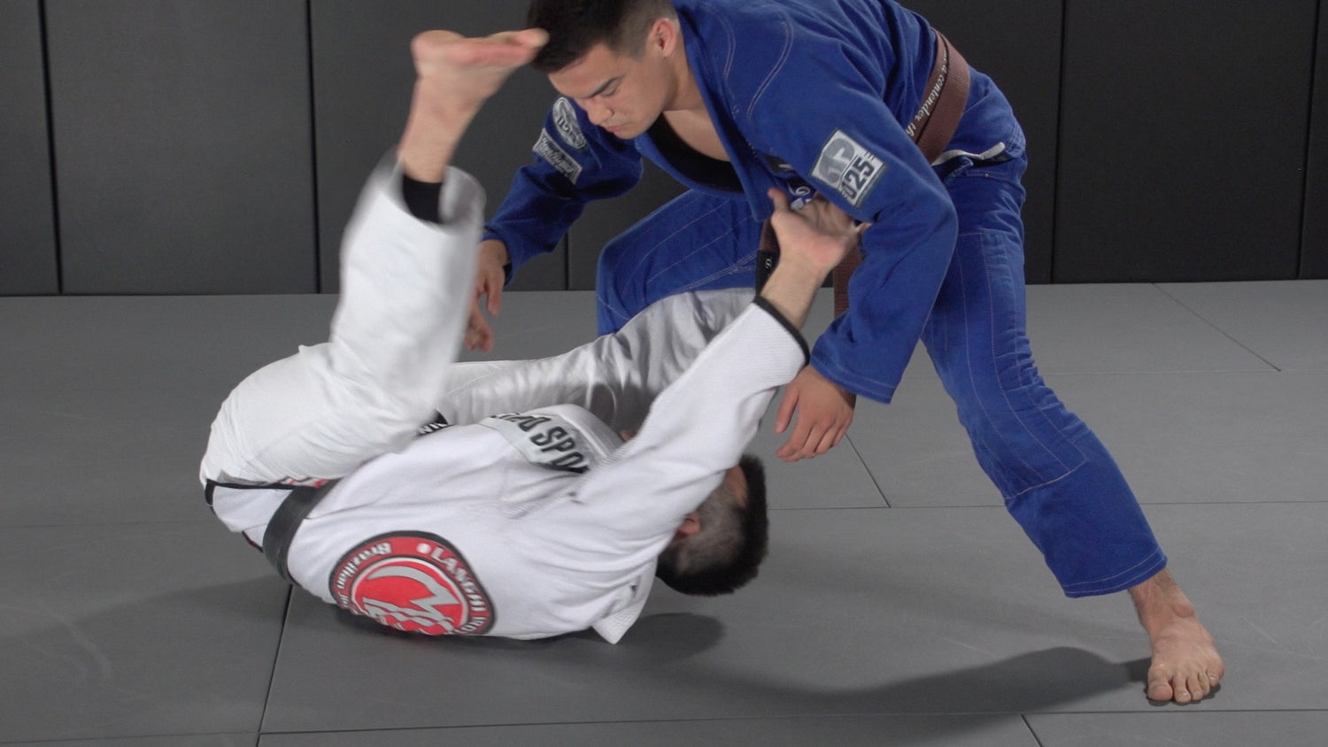 Dynamic Reverse De La Riva Guard DVD with Michael Langhi - Budovideos Inc