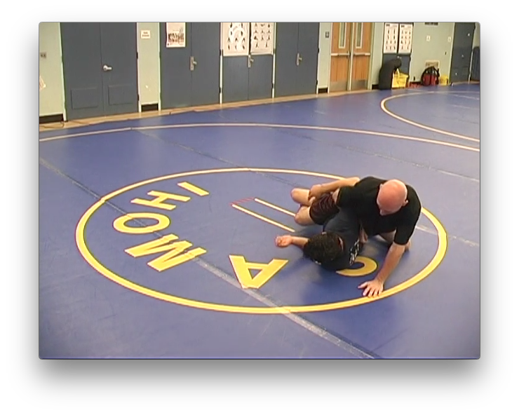 Legal Pain 4 Volume Set with Wade Schalles (On Demand) - Budovideos Inc