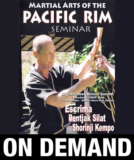 Martial Arts of the Pacific Rim Seminar with Michael Belzer (On Demand) - Budovideos Inc