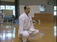 Seiji Nishimura Kumite Technique Seminar Vol 4 DVD - Budovideos Inc