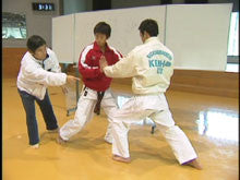 Seiji Nishimura Kumite Technique Seminar Vol 1 DVD - Budovideos Inc