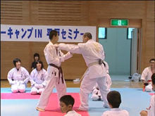 Seiji Nishimura's Kumite Technique Seminar 7 DVD - Budovideos Inc