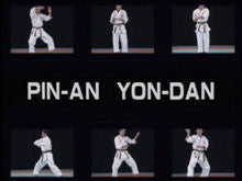 Complete Karate Kata of Wadokai Vol 1 DVD - Budovideos Inc