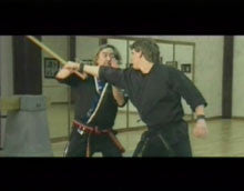 TAI Karate DVD by David German - Budovideos Inc