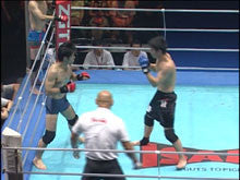 ZST 3rd Anniversary DVD - Budovideos Inc