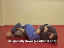 High Percentage Leglocks DVD with Stephan Kesting - Budovideos Inc