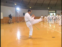 Seiji Nishimura Kumite Technique Seminar Vol 2 DVD - Budovideos Inc