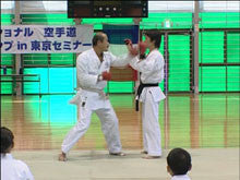 Seiji Nishimura's Kumite Technique Seminar 8 DVD - Budovideos Inc