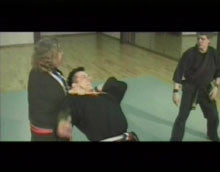 TAI Karate DVD by David German - Budovideos Inc