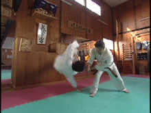 The Secret of Aikido Techniques DVD by Motofumi Yoshida - Budovideos Inc