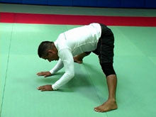 Ginastica Natural for Fighters II DVD with Alvaro Romano - Budovideos Inc