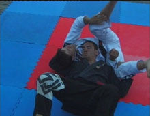 Arte Suave: Jiu-jitsu Lifestyle Vol 2 DVD - Budovideos Inc