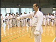 Seiji Nishimura Kumite Technique Seminar Vol 1 DVD - Budovideos Inc