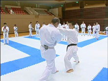 Seiji Nishimura's Kumite Technique Seminar 7 DVD - Budovideos Inc